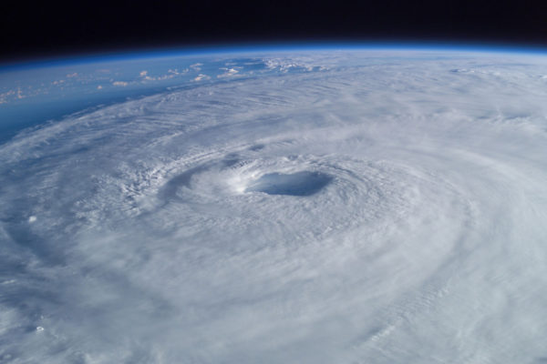A Perfect Storm For Business: Sustainability, Human Capital Management, and Purpose
